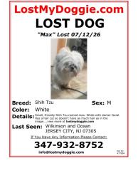 Lost Male Dog last seen Wilkinson and Ocean, Jersey City, NJ 07305