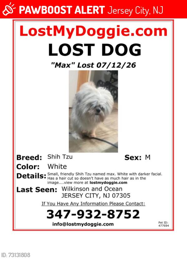 Lost Male Dog last seen Wilkinson and Ocean, Jersey City, NJ 07305