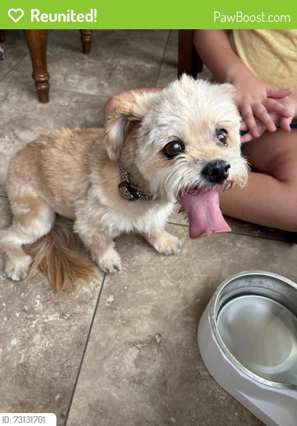 Reunited Female Dog last seen 90th st and Charter Oak, Scottsdale, AZ 85260