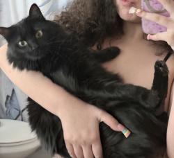 Lost Female Cat last seen Pueblo alto, Santa Fe, NM 87507