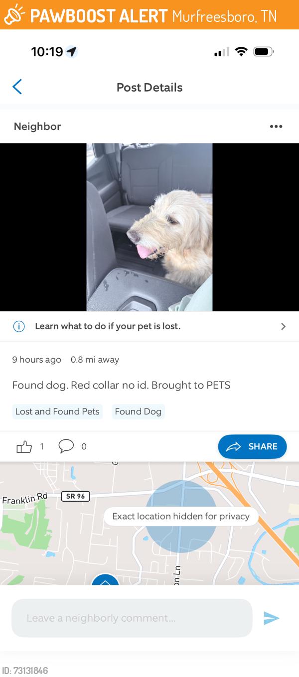 Found/Stray Female Dog last seen River rock blvd Cason lane, Murfreesboro, TN 37128