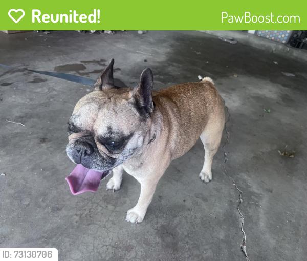 Reunited Female Dog last seen 106th and 129th, Owasso, OK 74055