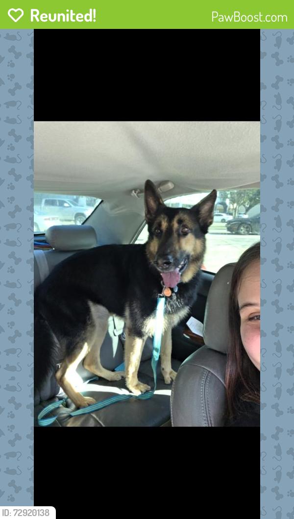 Reunited Male Dog last seen Birnamwood fairfax subdivision, Spring, TX 77373