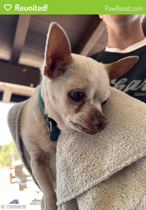 Reunited Male Dog last seen kralj and south green valley watsonville, Watsonville, CA 95076
