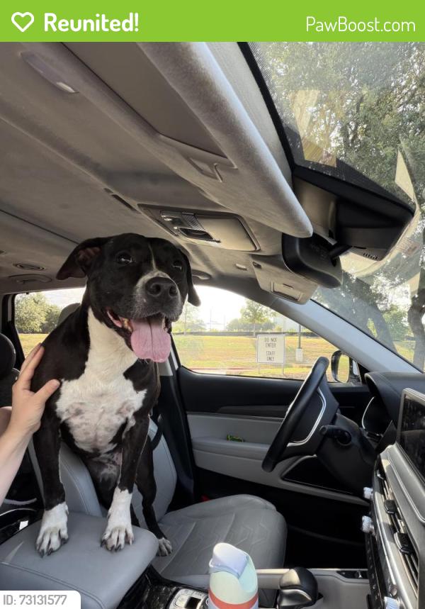 Reunited Female Dog last seen Bee Creek United Methodist Church, Spicewood, TX 78669
