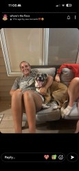 Found/Stray Female Dog last seen close by downtown waterloo on the main road maple, Waterloo, NE 68069