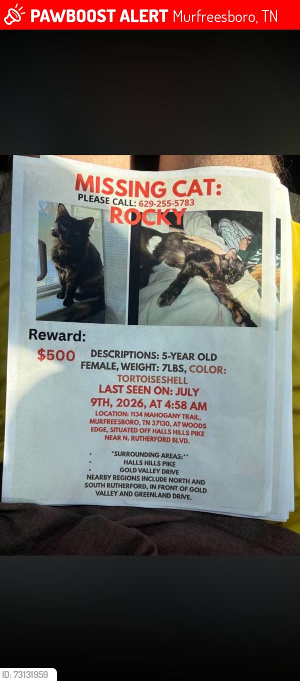Lost Female Cat last seen Near mahogany trail, Murfreesboro, TN 37130