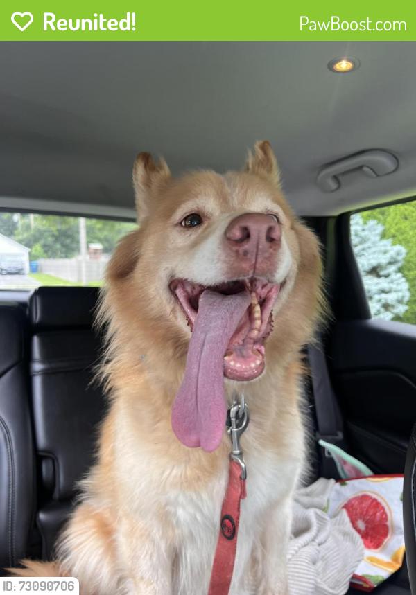 Reunited Unknown Dog last seen Exchange and Selleck, Crete, IL 60417