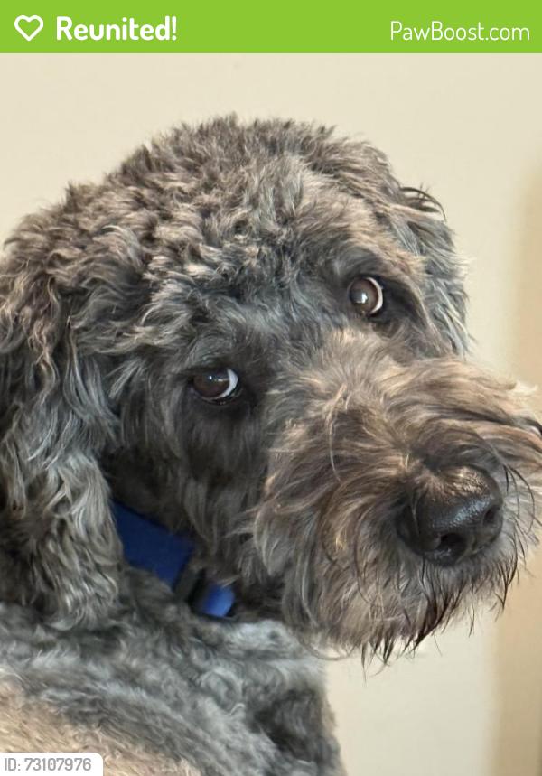 Reunited Male Dog last seen Santa Fe and Cambridge Ct, Moore, OK 73170