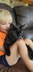 Reunited Male Cat last seen Interstate/ highway Bonner, Missoula, MT 59802