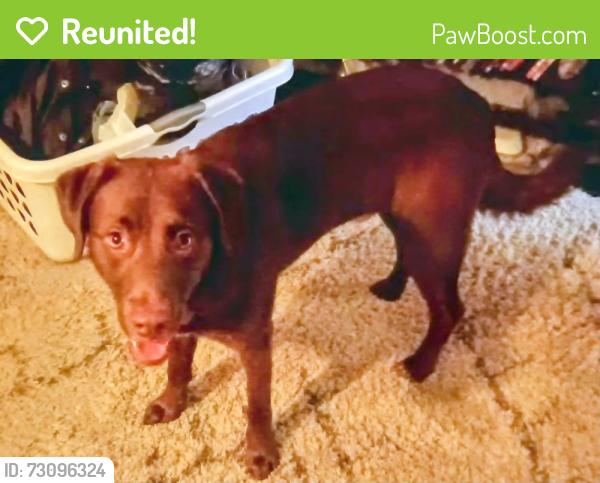 Reunited Male Dog last seen Memorial and 15th, Tulsa, OK 74112