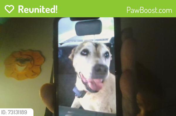 Reunited Male Dog last seen 12-14000 Indian River Drive and County Line Road, Jensen Beach, FL 34957
