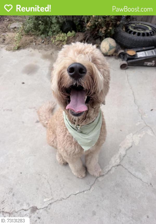 Reunited Female Dog last seen Elementary school, Perris, CA 92571
