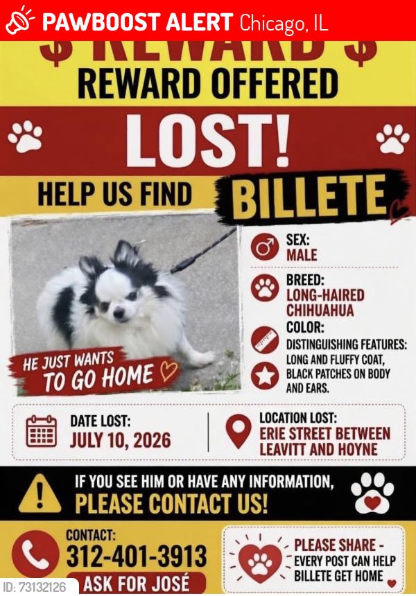 Lost Male Dog last seen Erie & Hoyne, Chicago, IL 60612