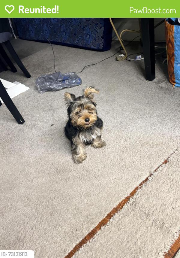 Reunited Unknown Dog last seen North reservoir street, Lancaster, PA 17602