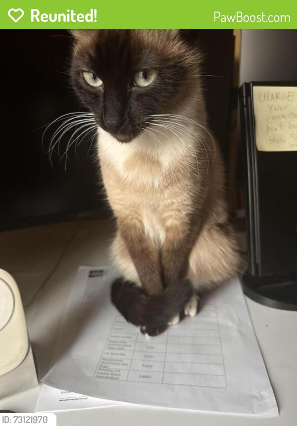 Reunited Female Cat last seen Near se peace ct, Happy Valley, OR 97086