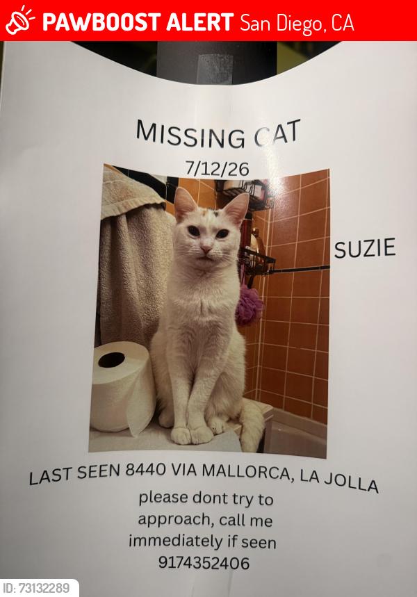 Lost Female Cat last seen Via Alicante and Via Mallorca, near densely vegetated area behind Gilman, San Diego, CA 92037