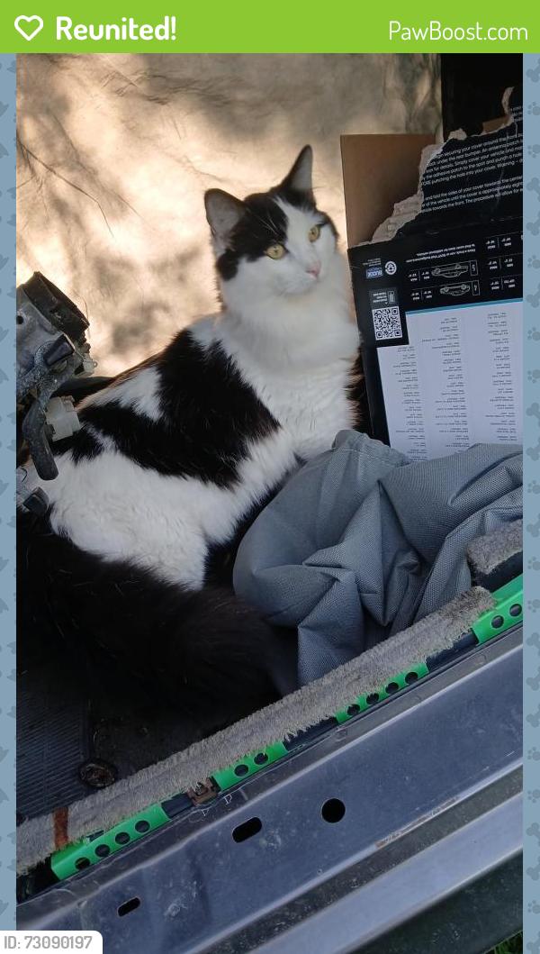 Reunited Male Cat last seen Wards corner Ohio, Camp Dennison, OH 45111