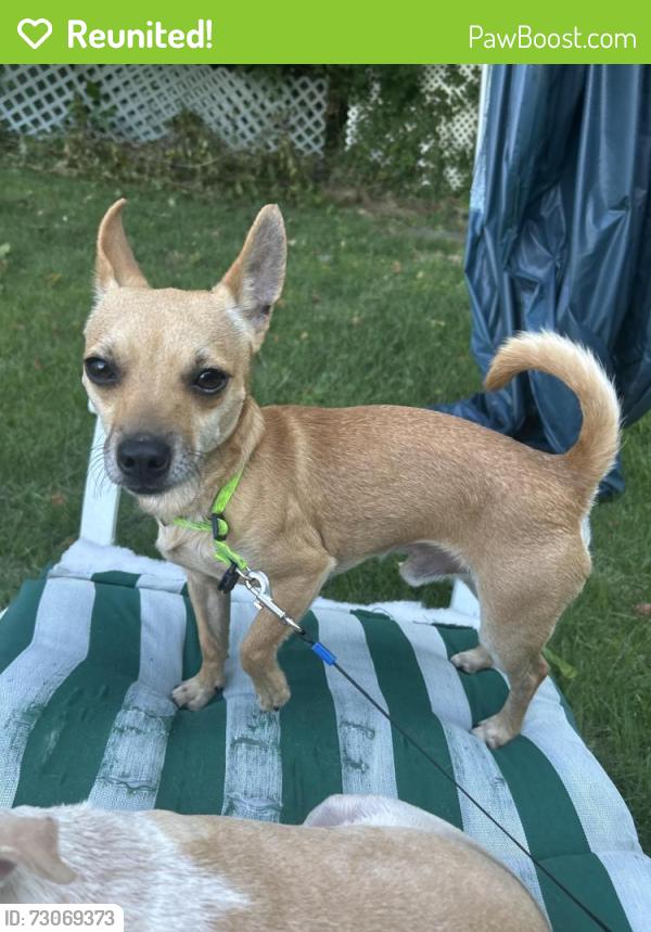 Reunited Male Dog last seen East Ave, Danville, VA 24540