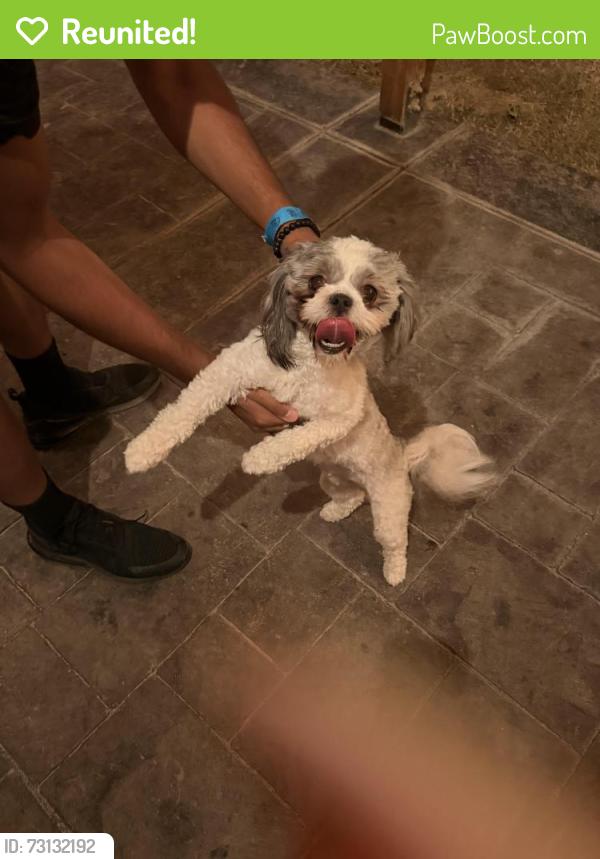 Reunited Female Dog last seen Sun seeker, El Paso, TX 79938