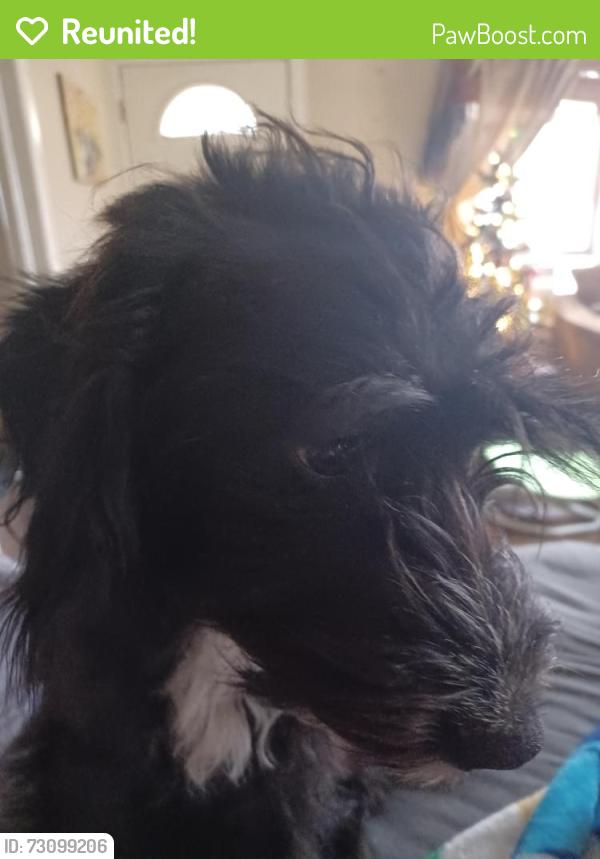 Reunited Male Dog last seen Intersection of stone bridge or crossover on E Huntsville Rd, Fayetteville, AR 72701