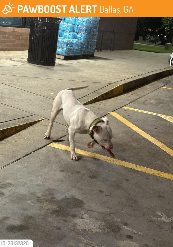 Found/Stray Male Dog last seen QT on Nathan Dean Blvd, Dallas, GA 30157