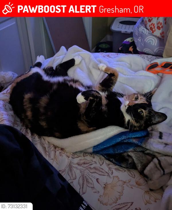 Lost Female Cat last seen SW Wallula Dr & 14th, Gresham, OR 97080
