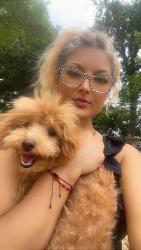 Lost Female Dog last seen American best inn, Siloam Springs, AR 74338