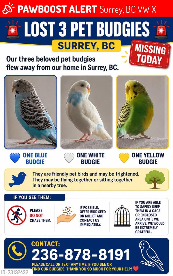 Lost Unknown Bird last seen 143A, Surrey, BC V3W 0X5