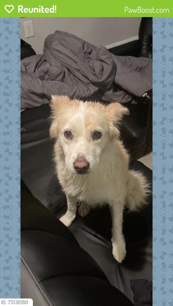 Reunited Female Dog last seen Near Fairbanks N Houston Rd, Houston, TX 77064, USA, Houston, TX 77064