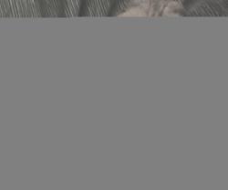Reunited Female Cat last seen Near Riby Road, Caistor, Caistor, England LN7 6RL