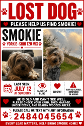 Reunited Male Dog last seen Spencer Rd old 24, Brighton, MI 48114