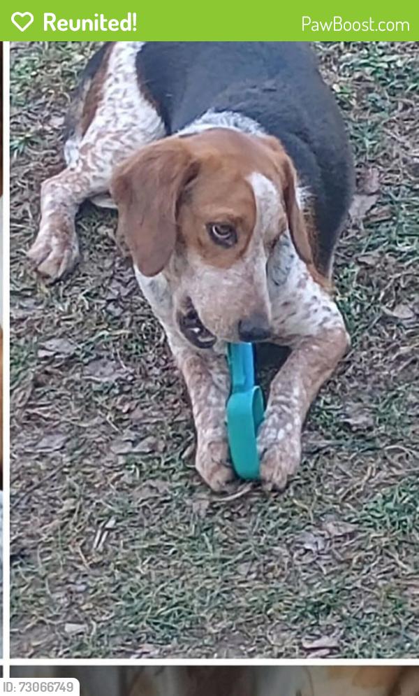 Reunited Male Dog last seen Huntington ATM, Hulls Super Duper, Hanover Township, OH 44423