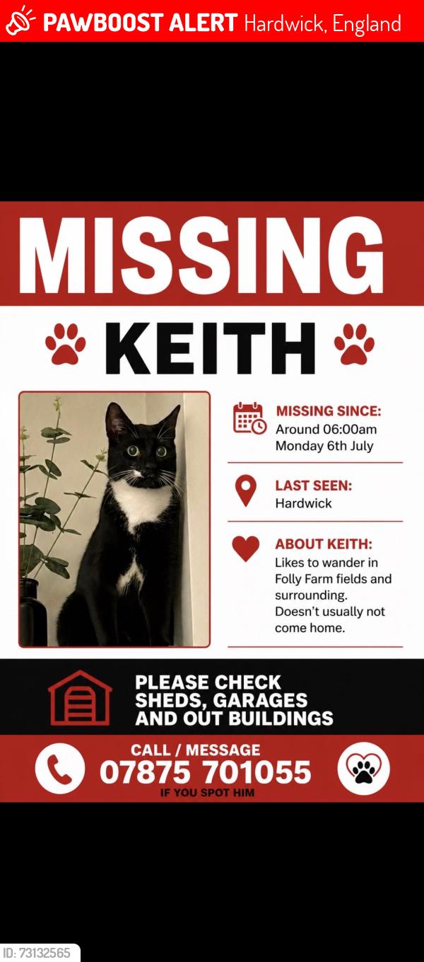 Lost Male Cat last seen Hardwick or D'Arcy Close, Hardwick, England 