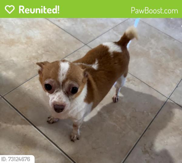 Reunited Male Dog last seen Sugargrove Way, Alafaya, FL 32828
