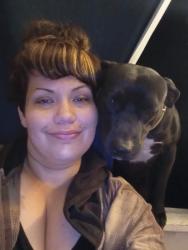 Lost Male Dog last seen Harbor and mcfadden, Santa Ana, CA 92704