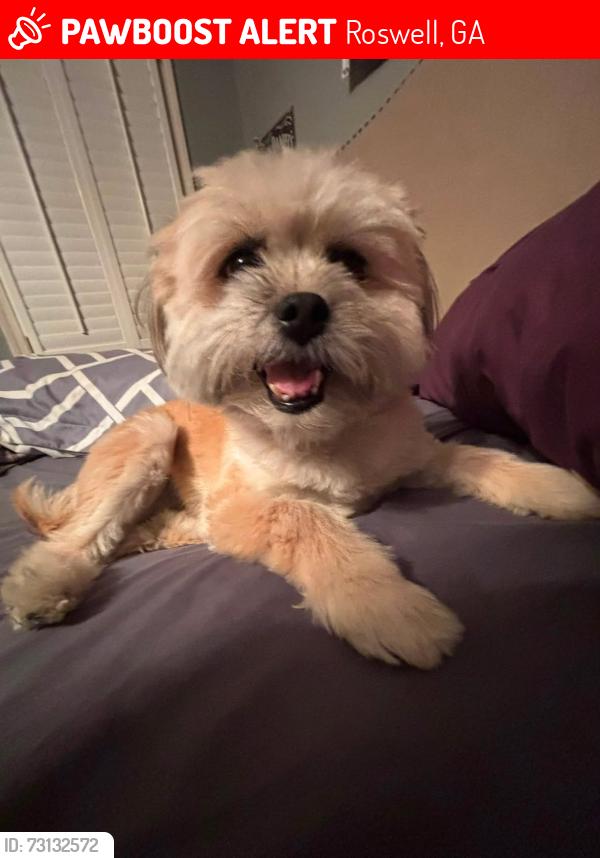 Lost Female Dog last seen lakemont, Roswell, GA 30075