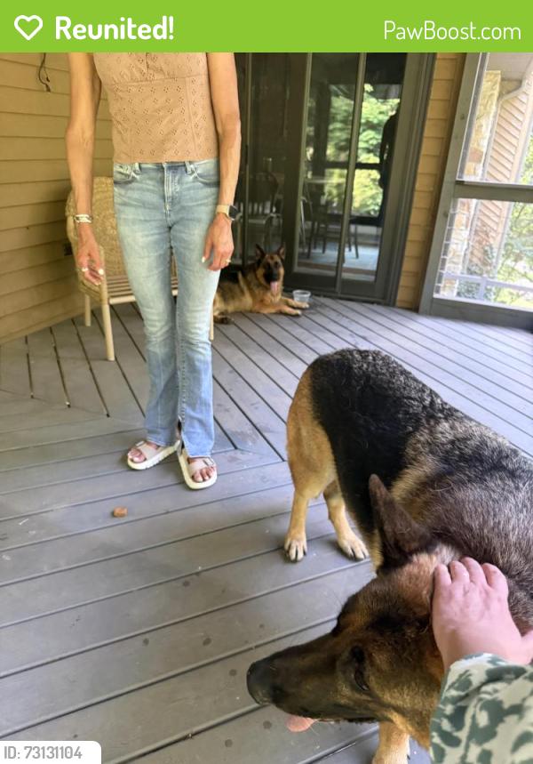 Reunited Male Dog last seen Lyons Run, Glenmoore, PA 19343
