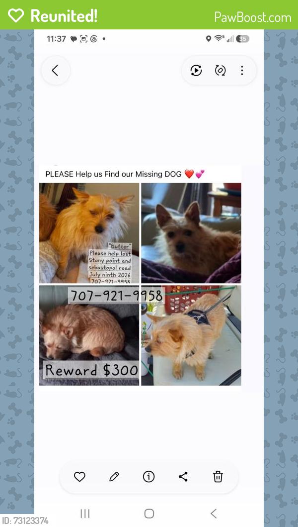 Reunited Female Dog last seen Stony point, Santa Rosa, CA 95407