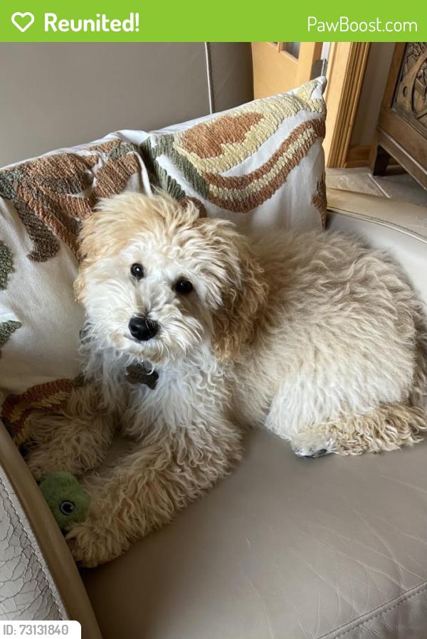 Reunited Male Dog last seen Tournament players parkway and Arnold Palmer drive, Blaine, MN 55449