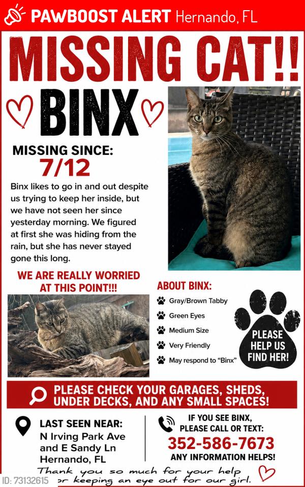 Lost Female Cat last seen N Irving Park Ln and E Sandy Ln, Hernando, FL 34442