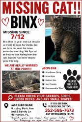 Lost Female Cat last seen N Irving Park Ln and E Sandy Ln, Hernando, FL 34442