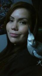 Lost Male Bird last seen Harbor and mcfadden, Santa Ana, CA 92704