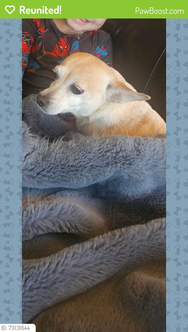 Reunited Female Dog last seen My Vernon Rd, Auburn, CA 95603