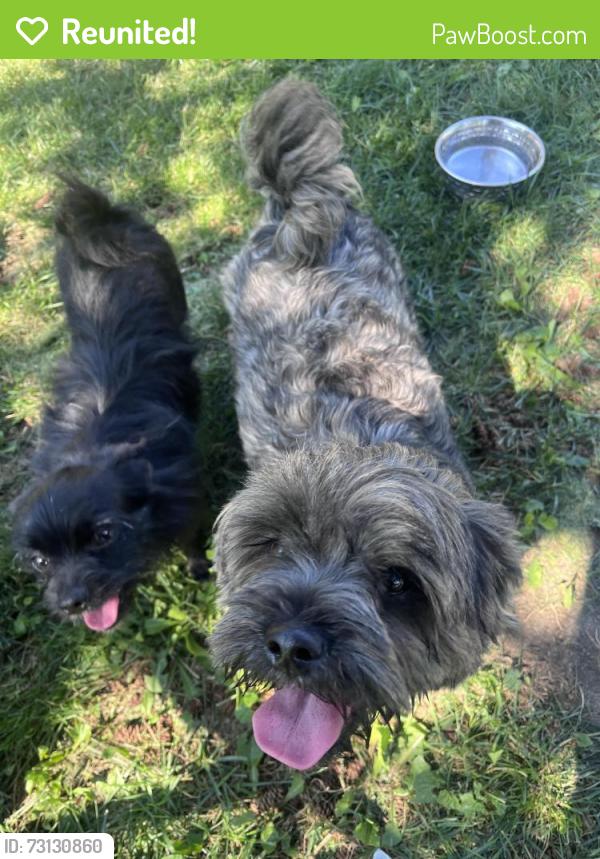 Reunited Male Dog last seen Ramona Park, Portage, MI 49002