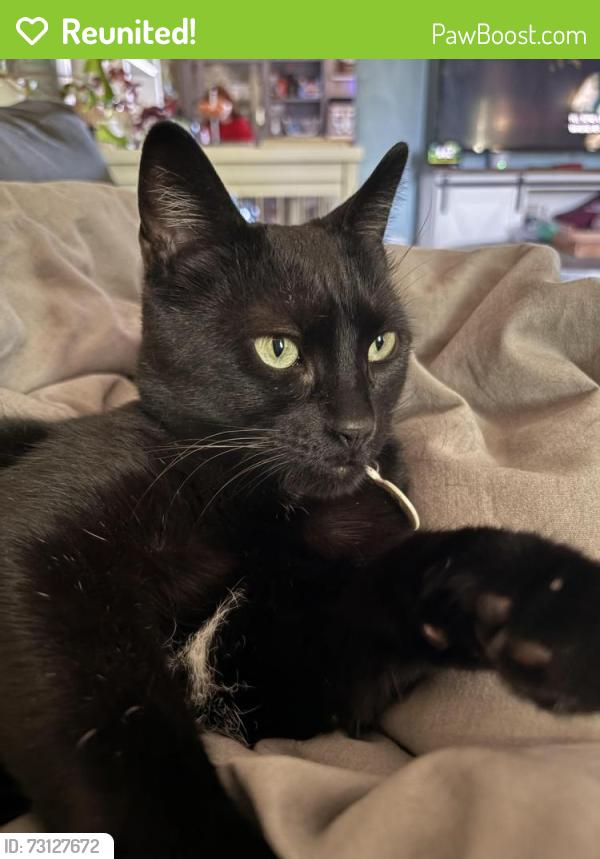 Reunited Male Cat last seen Day Break Parkway, South Jordan, UT 84009
