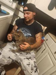 Reunited Male Cat last seen Alley way behind pine st tamaqua pa, Tamaqua, PA 18252