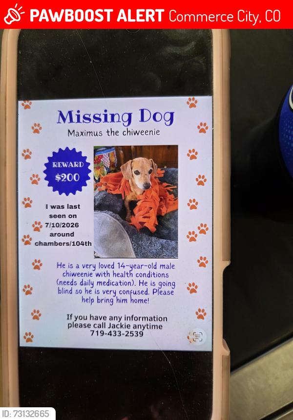 Lost Male Dog last seen 104th and Chambers, Commerce City, CO 80022