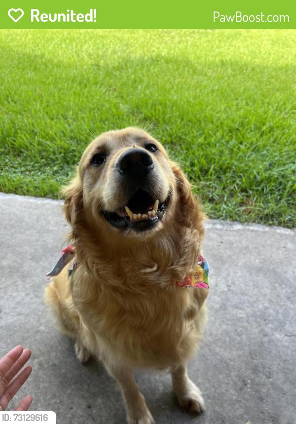 Reunited Male Dog last seen Near Kelsey Pointe in Shadow Creek Ranch, Pearland, TX 77584