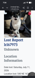 Found/Stray Male Cat last seen Glisan and 167th place, Gresham, OR 97230